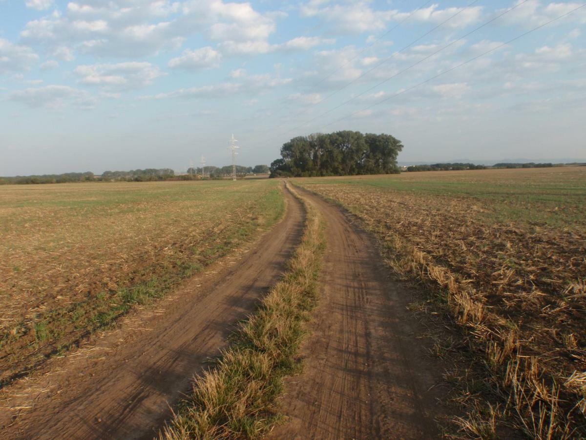 Penzion U maléřa Hroznova Lhota Exteriér fotografie